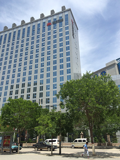 陜西省延安市志丹縣太陽(yáng)能路燈工程案例