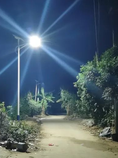 發(fā)家致富道上不抹黑，雁江這一村裝上太陽能路燈