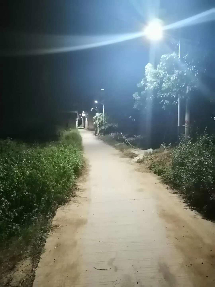 太陽(yáng)能路燈_廣東太陽(yáng)能路燈_農(nóng)村太陽(yáng)能路燈