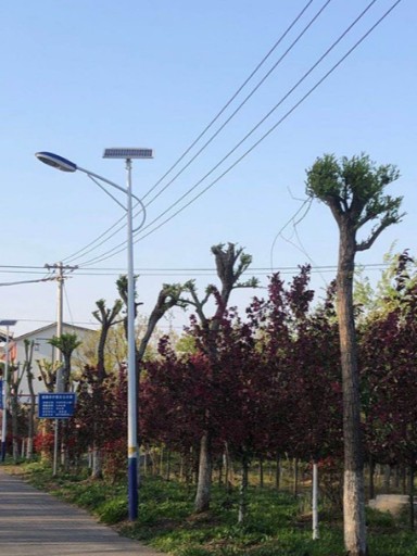 千盞太陽能路燈點亮了花嶺區(qū)每條村