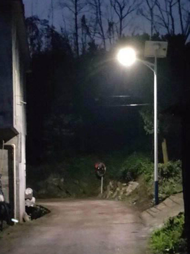 貼心！廣西玉林博白這一鎮(zhèn)圩也裝上太陽能路燈啦！