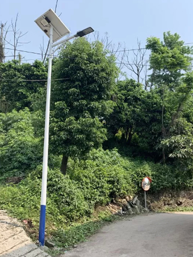 廣西省欽州市小董鎮(zhèn)太陽能路燈工程案例