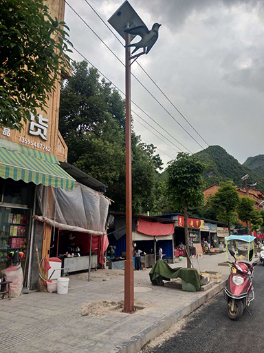 貴州省黔南自治州惠水縣羨塘鄉(xiāng)民族特色太陽能路燈實例