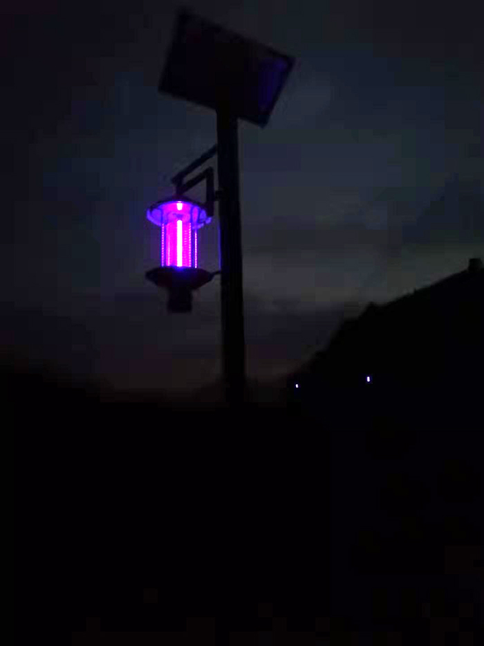 led太陽(yáng)能殺蟲燈_中山太陽(yáng)能殺蟲燈_廣東太陽(yáng)能殺蟲燈